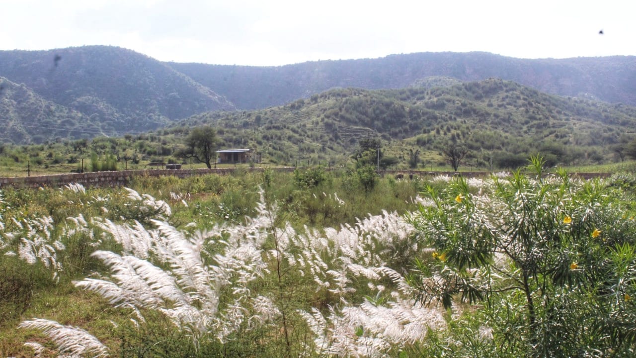 Unity Enclave Project residential plot for sale in Kotputli